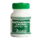 Саптамрит лаух / Saptamruta lauha - Пунарвасу - 60 таб
